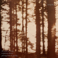 Cindytalk - The Wind Is Strong [ VINYL LP ]