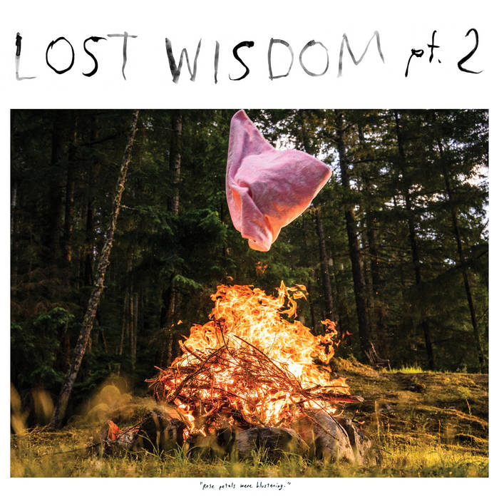 Mount Eerie - Lost Wisdom Pt. 2 [ VINYL LP ]