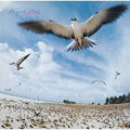 Masayoshi Takanaka - Seychelles [ VINYL LP ]