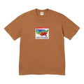 Supreme FW23 Week7 Weather T-shirt 'Brown' SUP-FW23-137