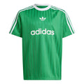 (GS) adidas Adicolor T-shirt Asia Sizing 'Green' IN8374